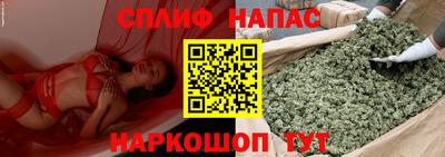 гидропоника Обнинск