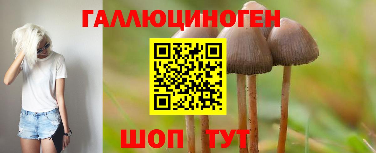 Свободный  Псилоцибиновые грибы мицелий  Вход с VPN 